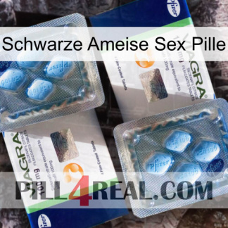 Black Ant Sex Pill viagra5